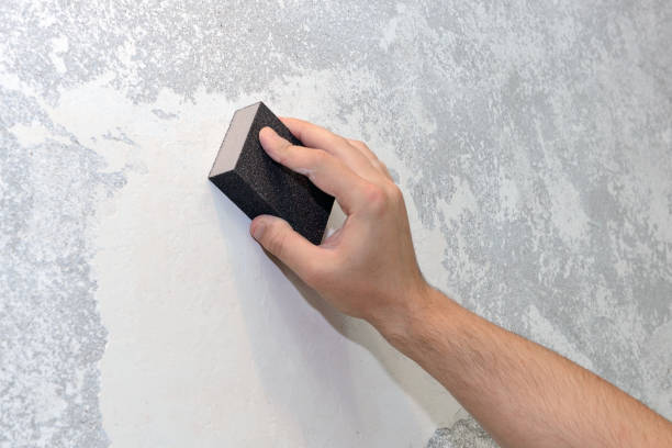 Best Commercial Mold Inspection  in Lake Royale, NC