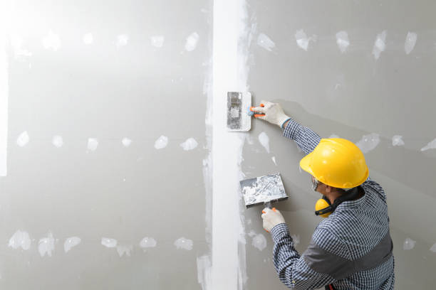 Best Mold Remediation for Healthcare Facilities  in Lake Royale, NC