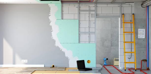 Best Mold Removal for HVAC Installations  in Lake Royale, NC