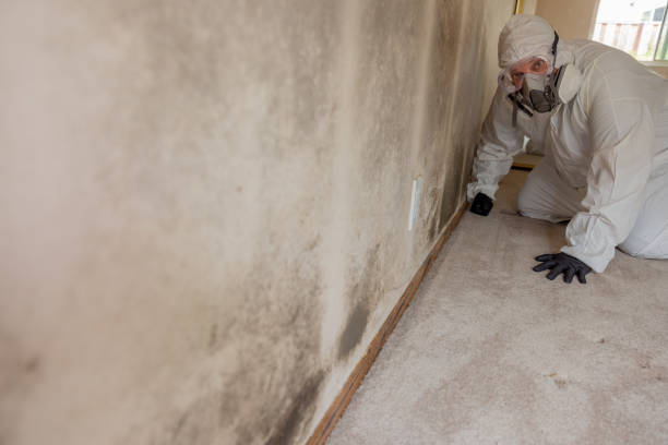 Mold Removal for HVAC Installations in Lake Royale, NC